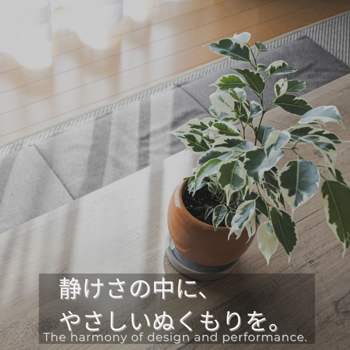 寒い季節こそ違いが出る。上質な"あたたかさ"をつくる家